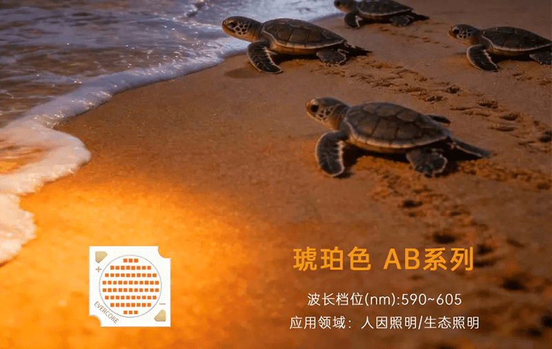 琥珀色Amber系列解读