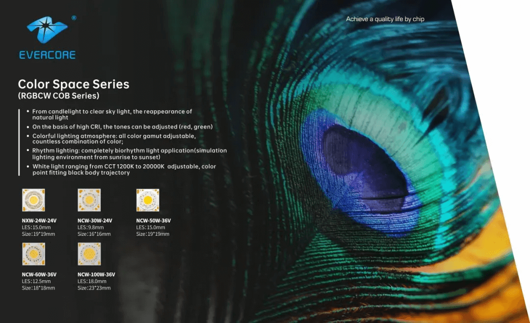 See how the domestic light illuminates the Frankfurt International Pavilion 看看国内的灯光如何照亮法兰克福国际馆