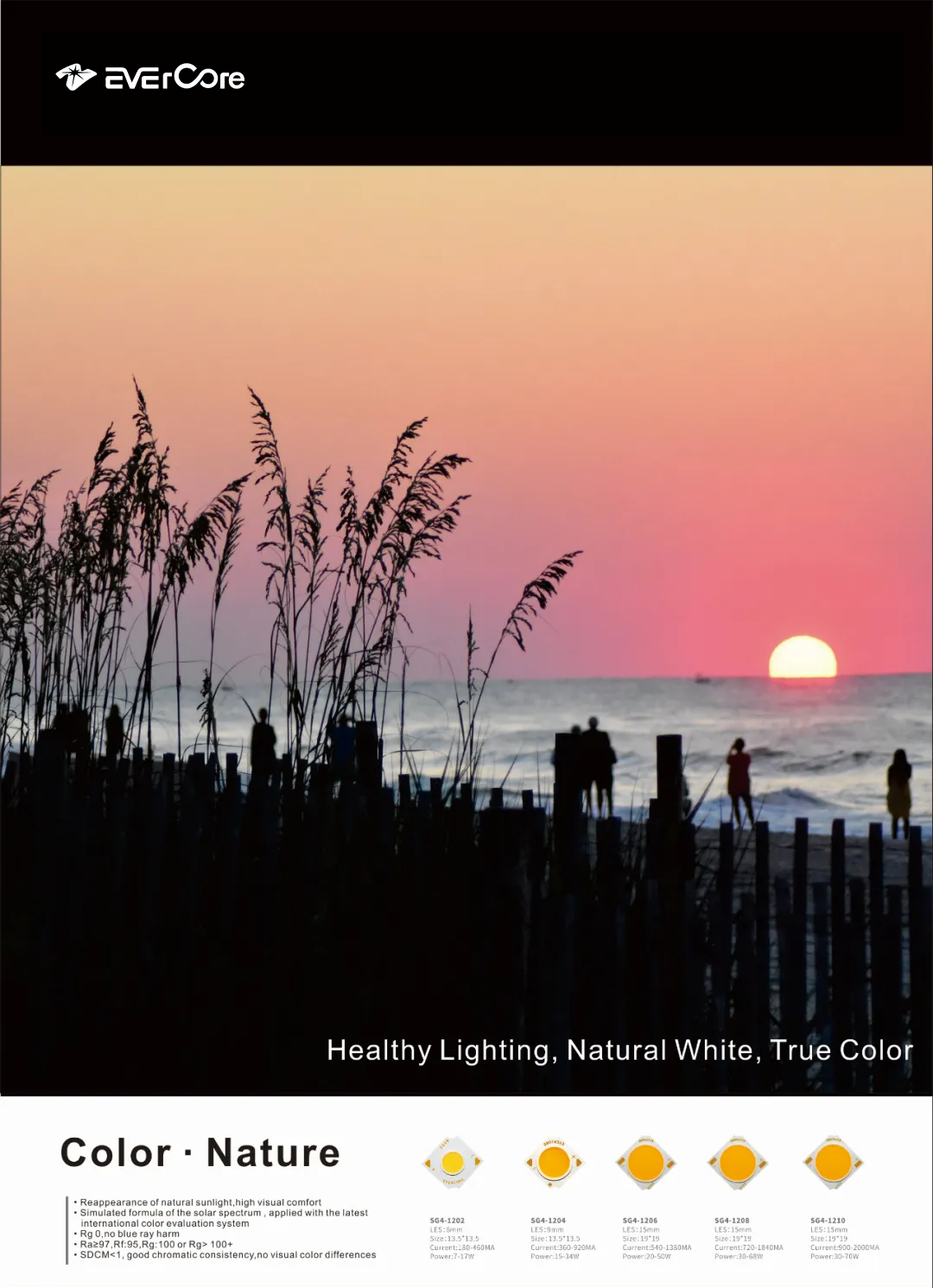 Evercore | Review of Hong Kong Autumn Lantern Exhibition 中昊| 香港秋季彩灯展回顾