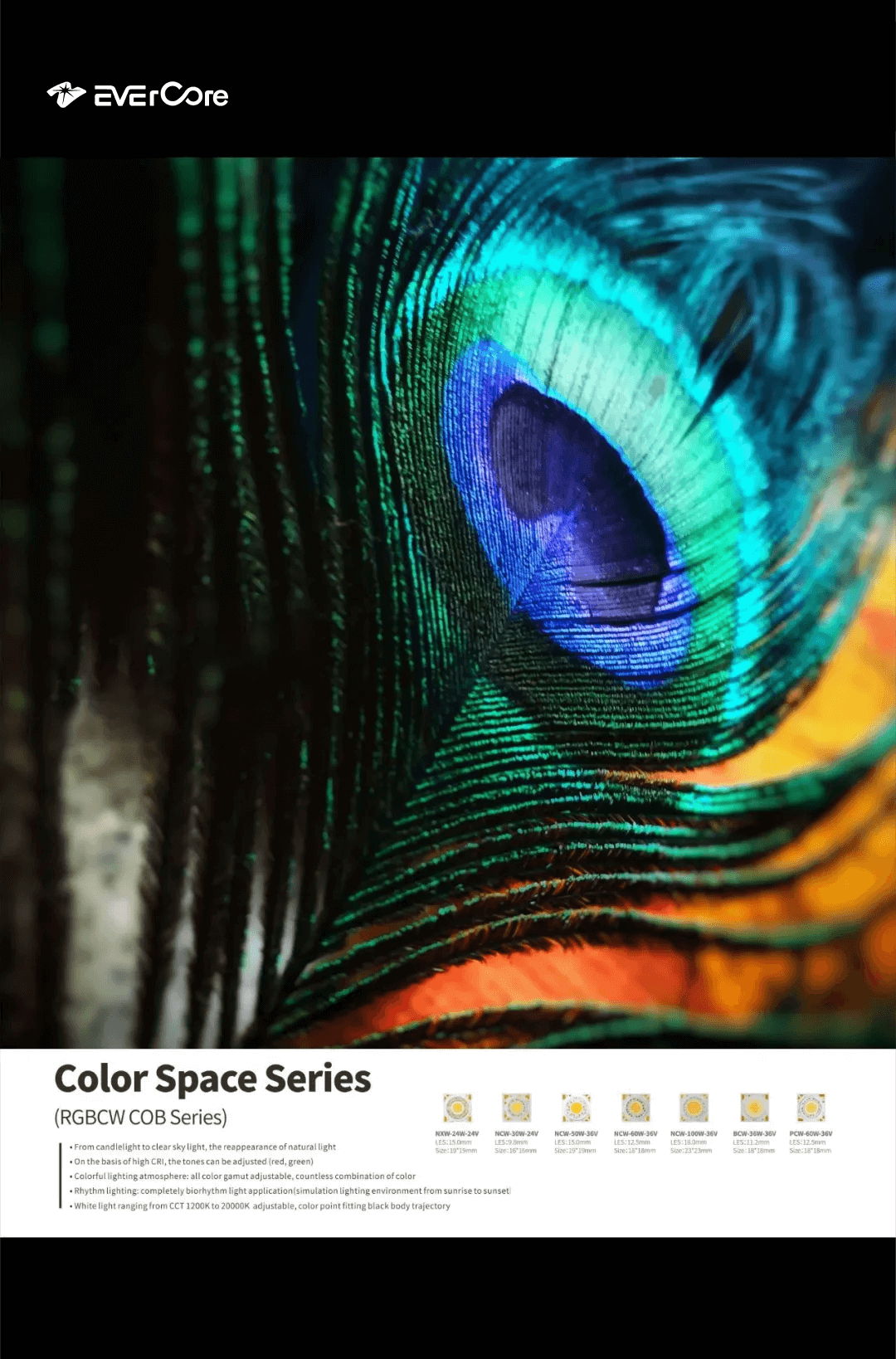 Going abroad and going to the world | Review of Mumbai Exhibition 走出国门,走向世界 | 孟买展会回顾