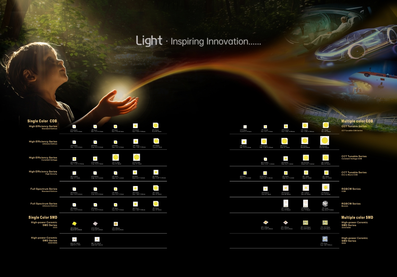 Evercore·Guangya Exhibition | The color of the civic color will not end 中昊·吉乐 | 公民色彩的色彩不会结束