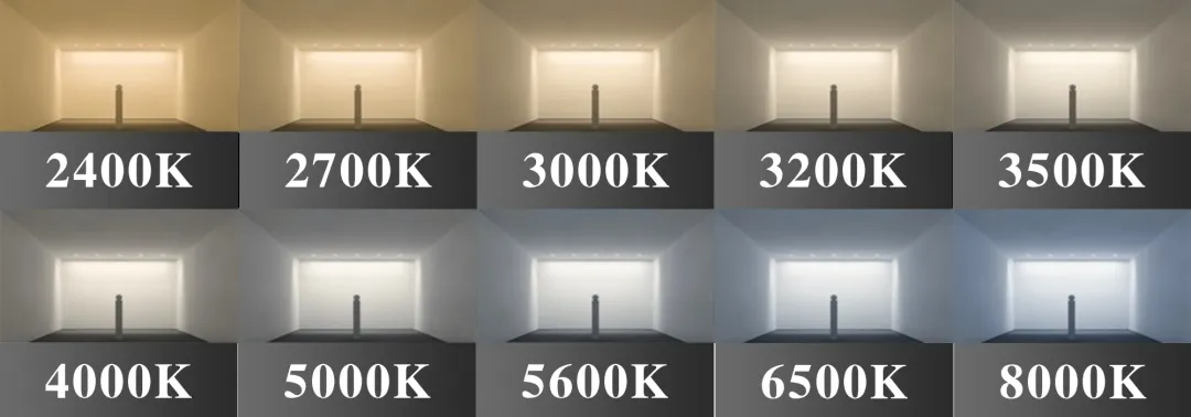 双色温 中昊 CCT 可调 COB 系列专题