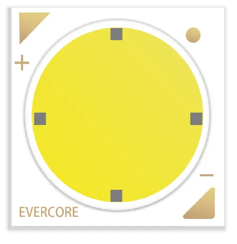 Evercore Constant Voltage COB Series Special Topic 中昊恒压COB系列专题