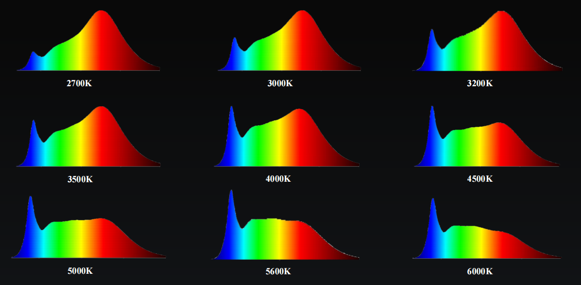 双色温 中昊 CCT 可调 COB 系列专题