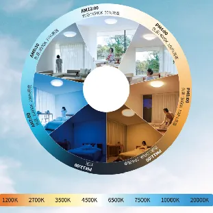 全色域 中昊 RGBCW 系列主题