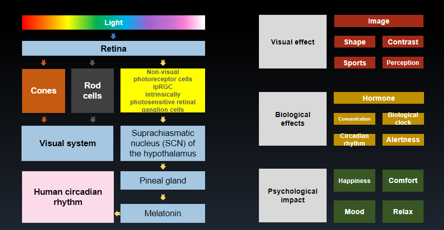 全色域 中昊 RGBCW 系列主题
